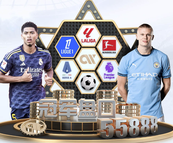 客场输给阿森纳之后，埃弗顿球迷在看台互殴